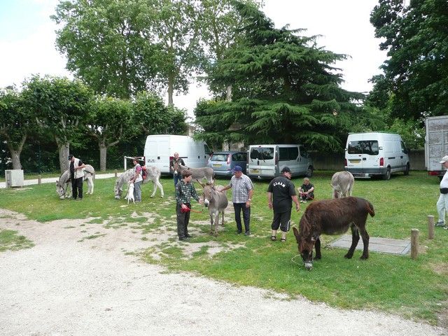 Le Parc 19 juillet 2012 (7).jpg